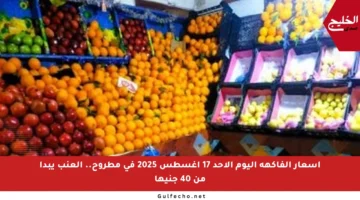 أسعار الفاكهة اليوم الأحد 17 أغسطس 2025 في مطروح.. العنب يبدأ من 40 جنيها
